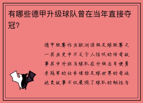 有哪些德甲升级球队曾在当年直接夺冠？
