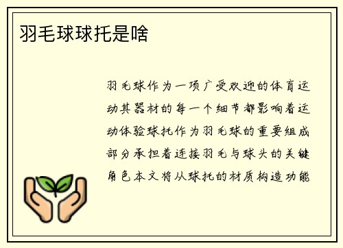 羽毛球球托是啥